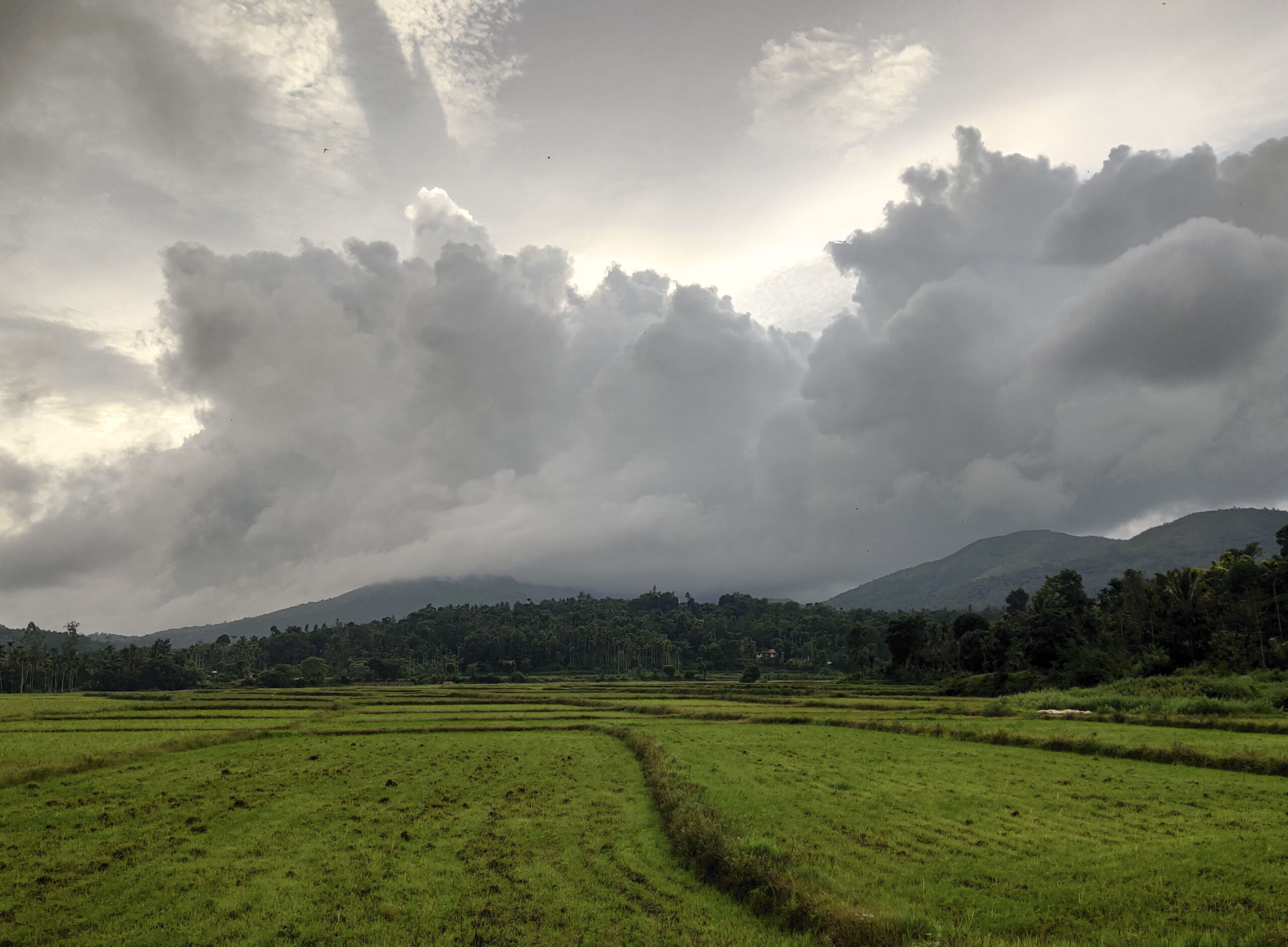 From Soil to Soul: In the Footsteps of Farmers